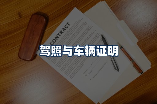 车辆证明展示